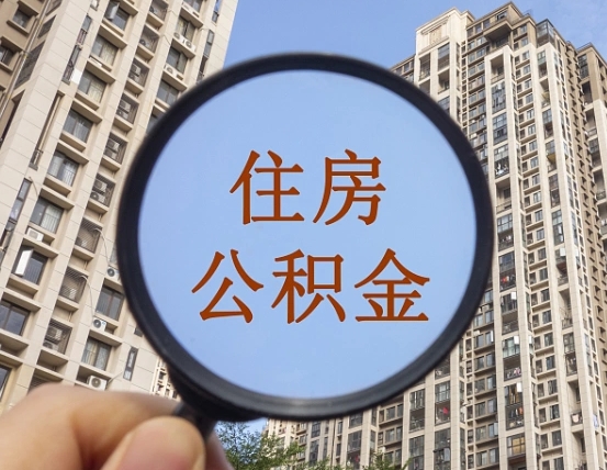 德清退休后查不到公积金明细了吗（退休后公积金查询不到原因）